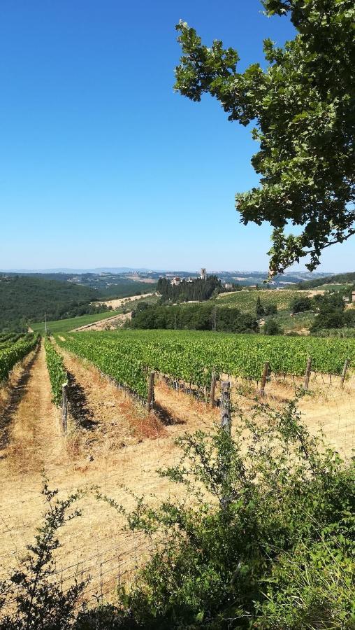 Апартаменти Chianti Craft House Badia A Passignano Badia A Passigano Екстер'єр фото